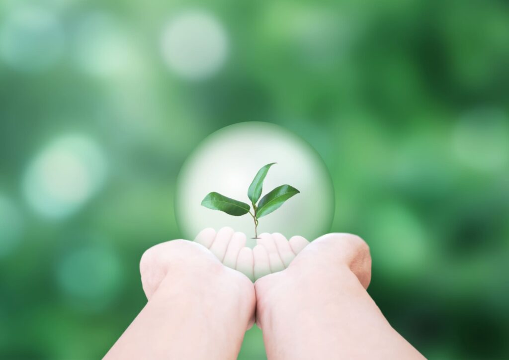 【適応障害】リワークを使うメリットとおすすめサービス